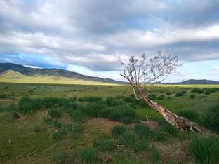 Вело трип Хакасия июнь 2024