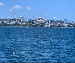 Что вижу, то пою