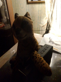 Вот сервал с колонкой