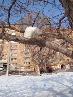 Жизнь и радость Лёхи