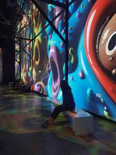 Мысли СРКшницы