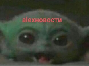 Alexновости