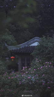 Элементы личности 