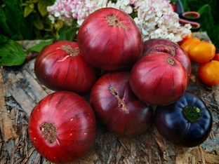 Огородный сезон 2026