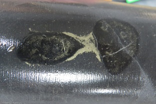 Угли и предметы в них