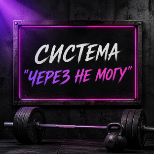 СИСТЕМА «ЧЕРЕЗ НЕ МОГУ»