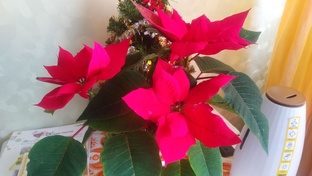 Мой личный дневник