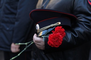 Защитники отечества 