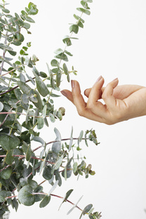 Забота о коже лица