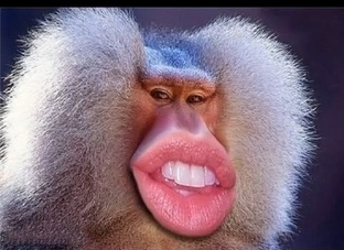 Анекдоты с бородой и не очень.😂