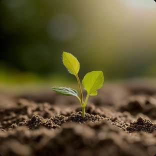 до начала отношений