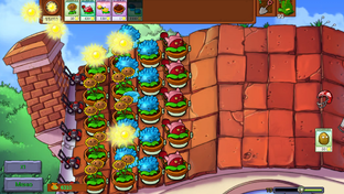 1 ЧЕМПИОНАТ РАСТЕНИЙ