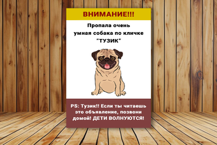 Юмор про животных