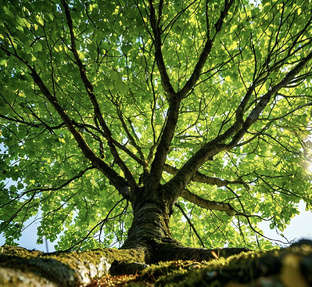 Здоровье и медицина 