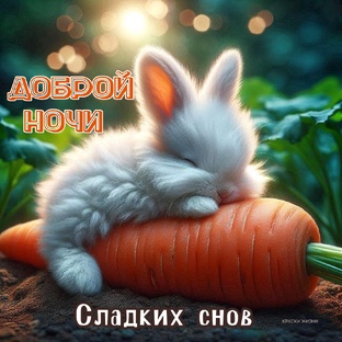 Осенние картинки Хорошего вечера, Доброй ночи, Спокойной ночи