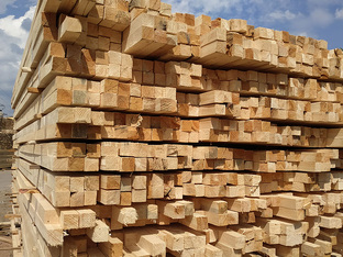 Материаловедение древесина