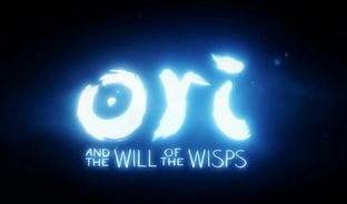 Ori The blinde forest
