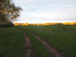 Не оконченный роман