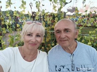 Влоги