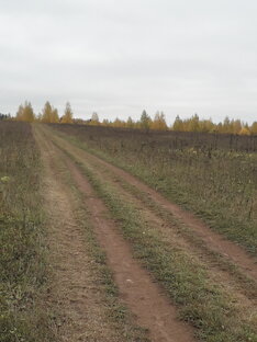 Родные просторы