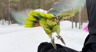 Полезные статьи