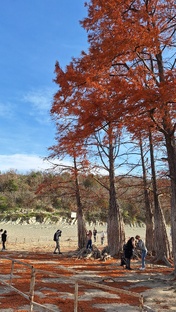 Кранодарский край