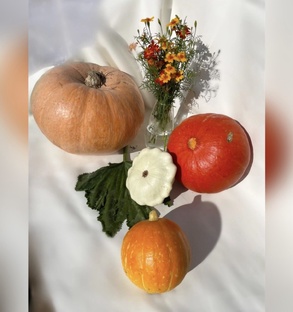 Полезные продукты