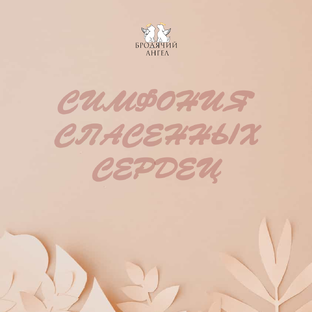 Истории спасения 