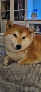 Управление стрессом