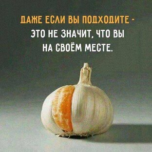 Групповая психотерапия