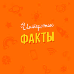 Интересные факты о культовых фильмах