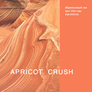 Apricot Crush — Абрикосовый сок / Главный цвет года 2024