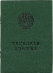 Юриспруденция. Работа