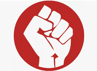 Хроники протетса