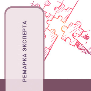 РЕМАРКА ЭКСПЕРТА