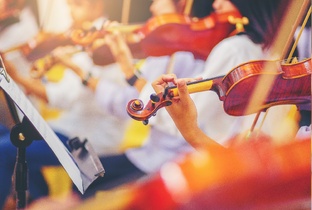 Анатомия симфонического оркестра