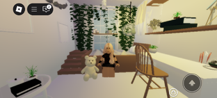 Ролики роблокса