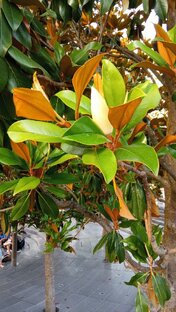 #МестаРадости