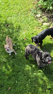 Для вкусняшек и подарков