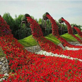 Самый лучший видео!