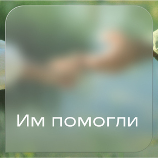 Им помогли