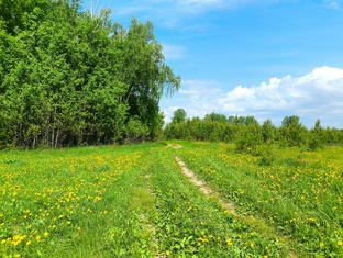Марамзино.