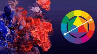 Колористика