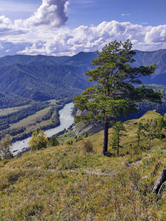 Алтай