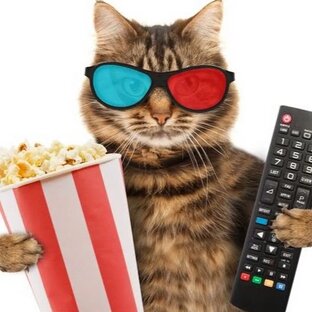 Кино и клюква