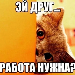 Подработки в свободное от работы время.