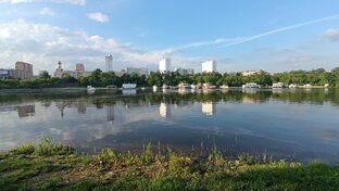 Вокруг Нагатино