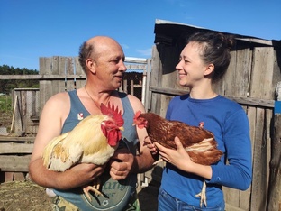 Деревенские зарисовки 🐓