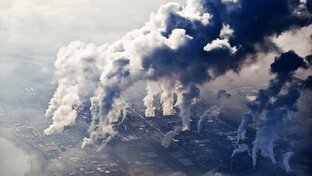 🌿 ЭКОЛОГИЯ