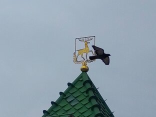 Нижний Новгород